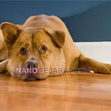 کفپوش تیمبرلند کفپوش تیمبرلند